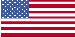 Flag of the USA